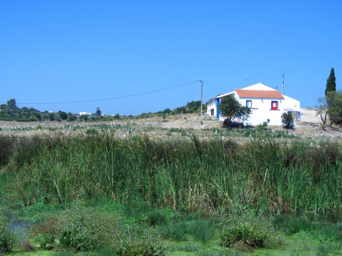 Vale Do Boto-Quinta Com 3 Casas Villa Castro Marim Eksteriør billede
